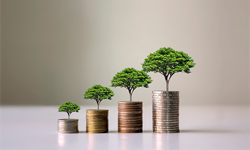 The Role of Industry and Business Type in Loan Interest Rates