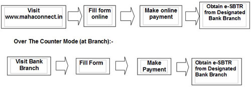 e-SBTR process
